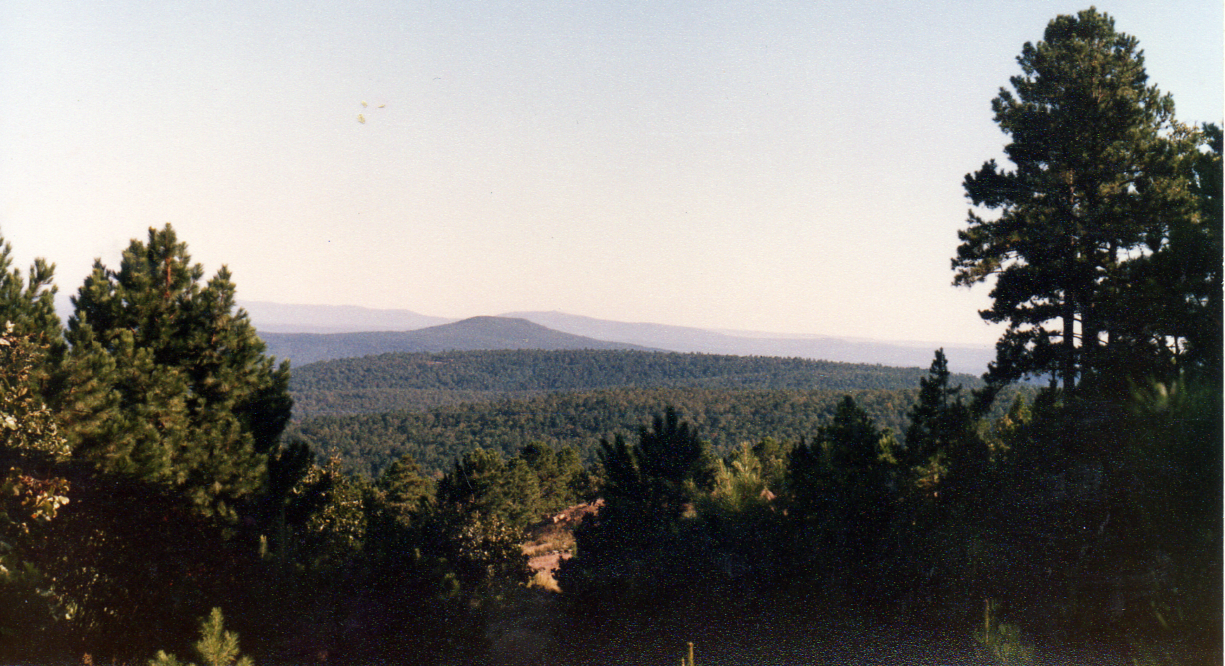 The view looking east from the Author's cabin on the mountaintop. 