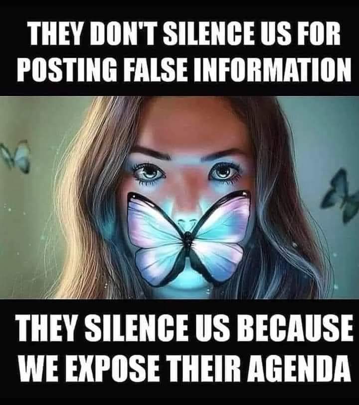 A meme that proclaims: "They don't silence us for posting false information. They silence us because we expose their agenda."