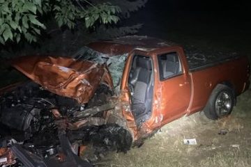 An image of a pick up truck that has crashed into a tree. 