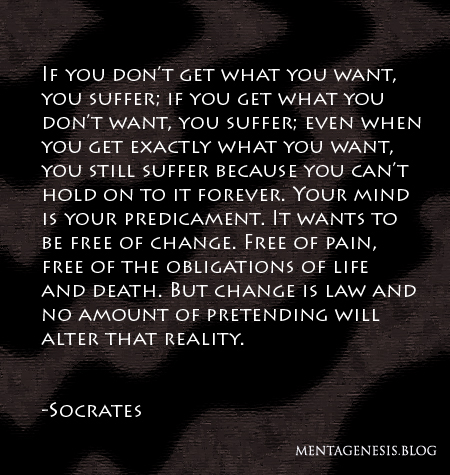 A quote from Socrates that proclaims: 'If you don't get what you want, you suffer; If you get what you don't want, you suffer; even when you get exactly what you want, you still suffer because you can't hold on to it forever."