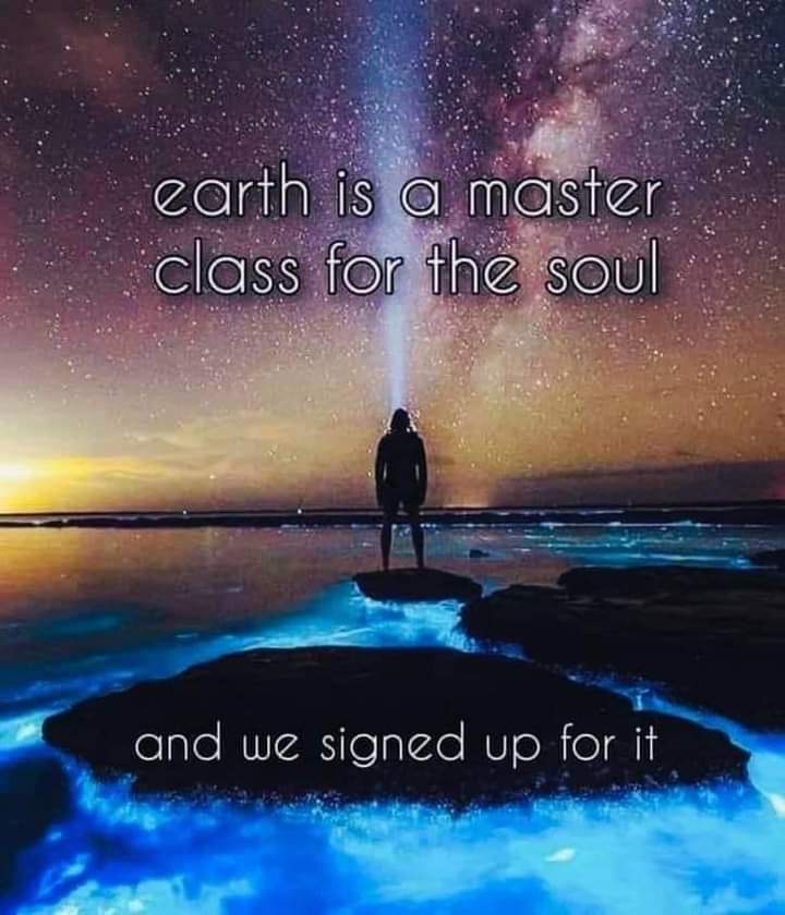 A meme which proclaims: "Earth is a master class for the soul and we signed up for it."