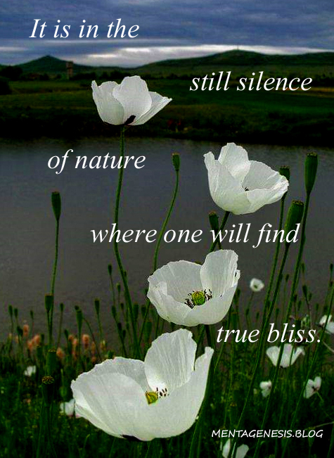 A meme that proclaims: 'It is in the still silence of nature where one will find true bliss."