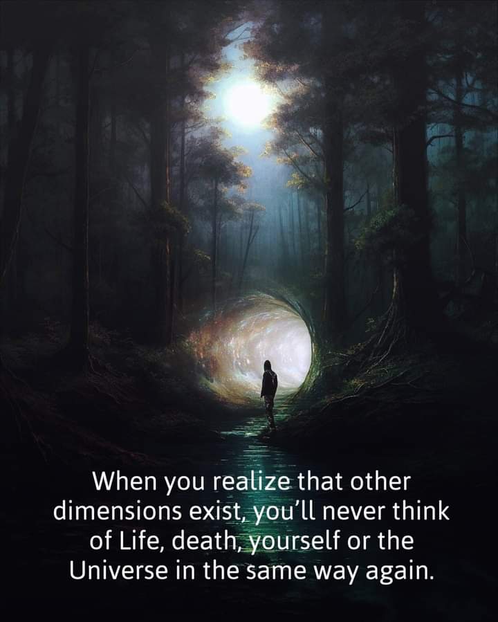 A meme that declares: "When you realize that other dimensions exist, you'll never think of life, death, yourself or the Universe in the same way again."