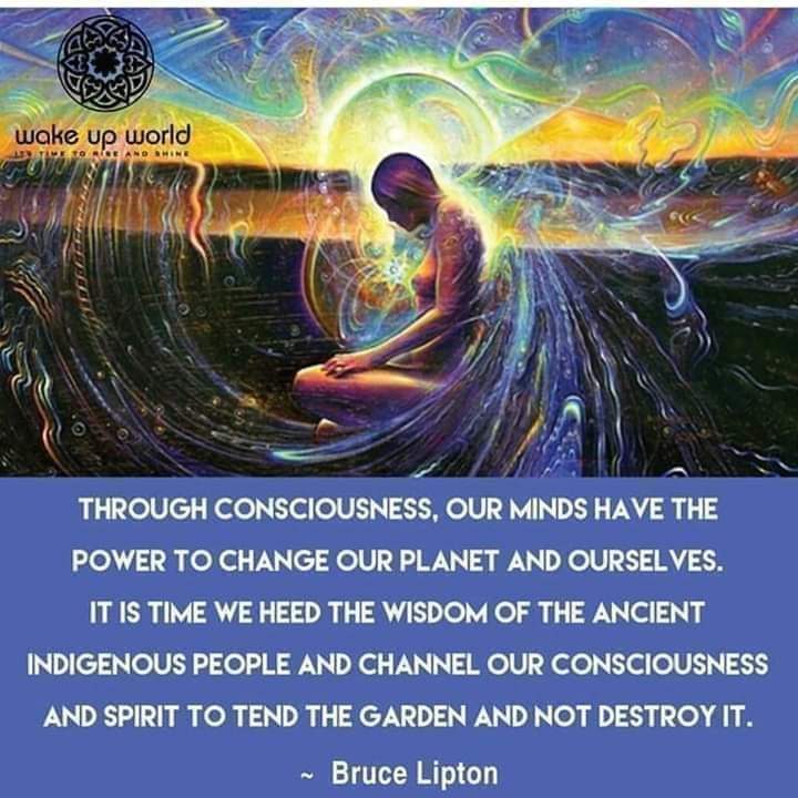 A quote from Bruce Lipton: " Through consciousness, our minds have the power to change our planet and ourselves. It is time we heed the wisdom of the ancient indigenous people and channel our consciousness and spirit to tend the garden and not destroy it.: