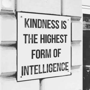 A meme that proclaims: "Kindness is the highest form of intelligence."