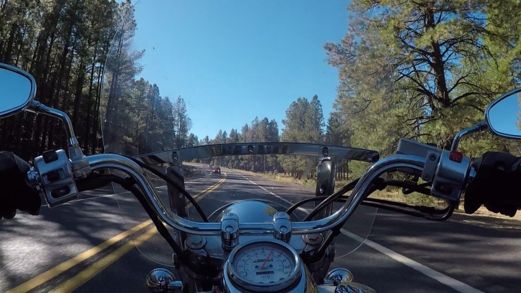 Riding a motorcycle POV through the Coconino National Forest.