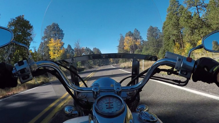Riding a motorcycle POV through the Coconino National Forest.