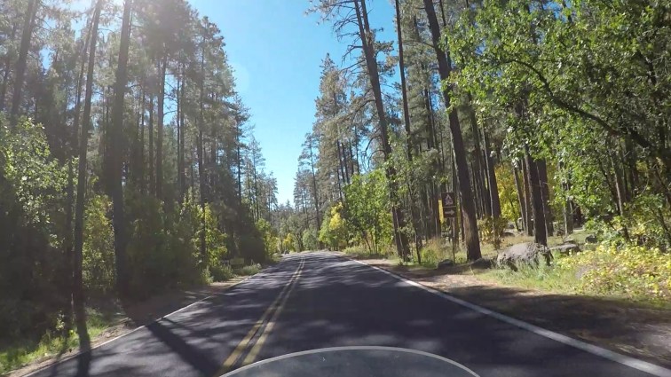POV riding a motorcycle in Oak Creek Canyon.