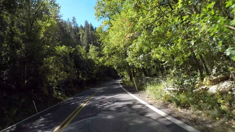 POV riding a motorcycle in Oak Creek Canyon.