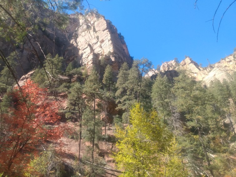 Majestic natural beauty at West Fork Hiking Area near Sedona, Arizona.