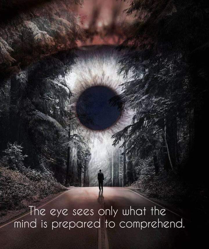 A meme which reads: "The eye sees only what the mind is prepared to comprehend."