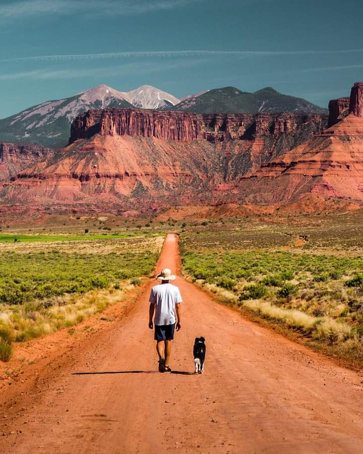 A man and his canine companion walk a dirt road which leads to a tall mountain range. 