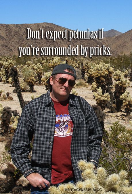 A photograph of the Author, Daniel Wolfert standing in a Cholla Cactus grove with the statement: "Don't expect petunias if you're surrounded by pricks."