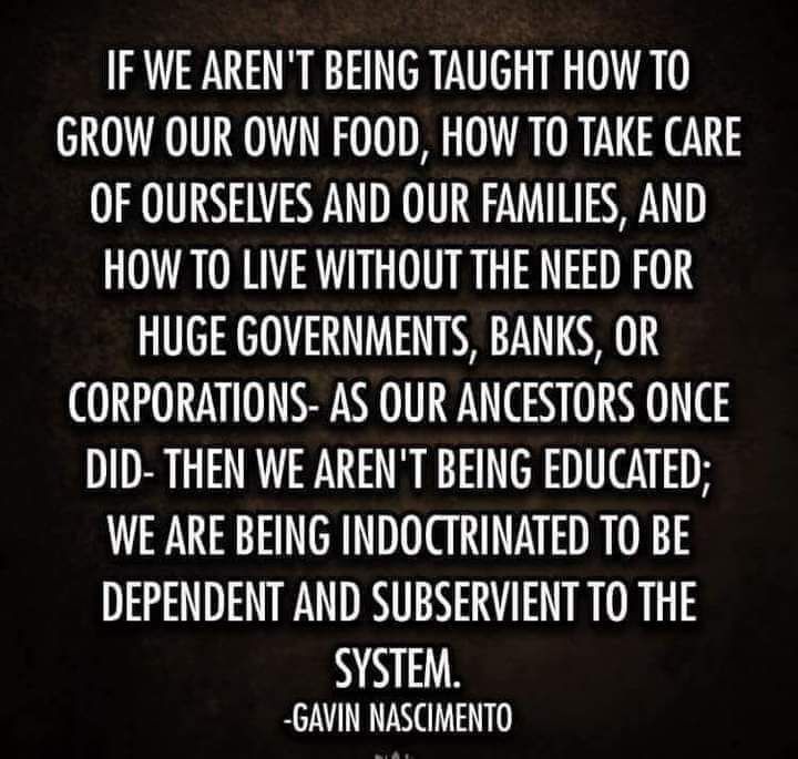A quote from Gavin Nascimento: "If we aren't being taught how to grow our own food, how to take care of ourselves and our families and how to live without the need for huge governments, banks or corporations- as our ancestors once did- then we aren't being educated; we are being indoctrinated to be dependent and subservient to the system."