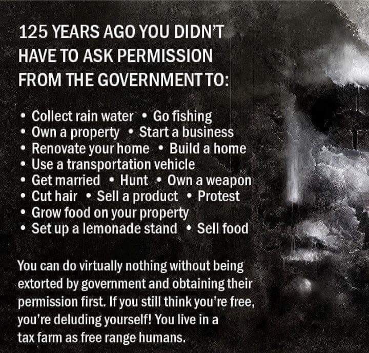 A meme which details all the things that the government requires a fee be paid for in exchange for permission to engage in that activity. 