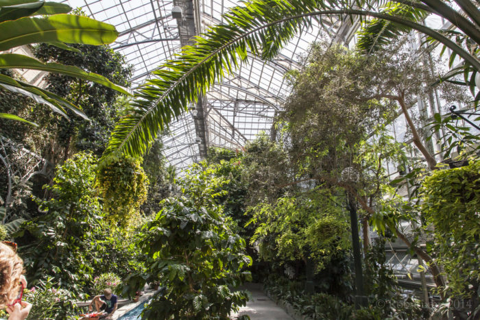 A photograph of a huge greenhouse environment for growing plants. 