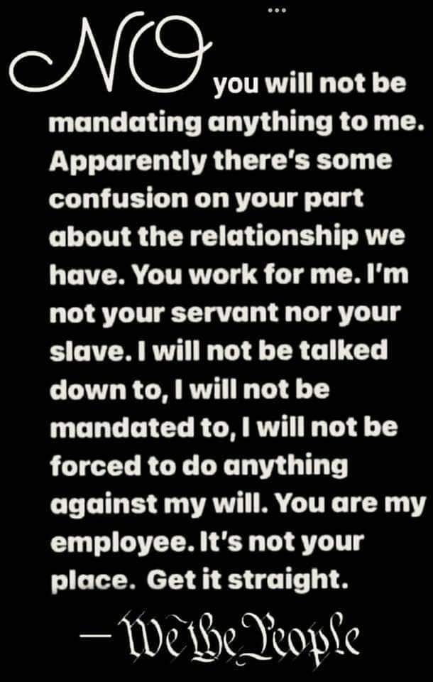 A meme that declares: "No you will not be mandating anything to me." It goes on to establish that the government is subservient to the people and not vice-versa.