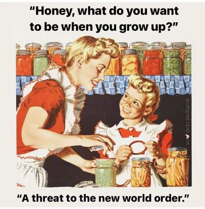 A meme featuring a mother who asks her daughter "Honey, what do you want to be when you grow up?" The daughter replies "A threat to the new world order."