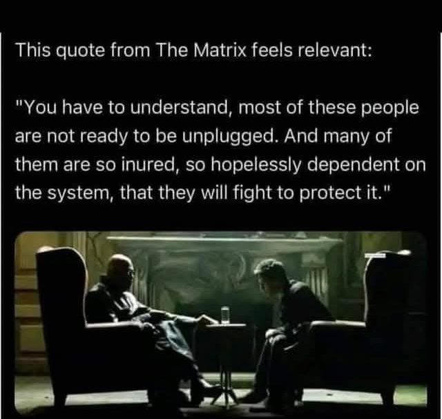 A meme that describes what it means to be captivated by the Matrix.