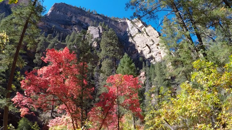 Sedona West Fork Hiking Trail&nbsp;(Video)