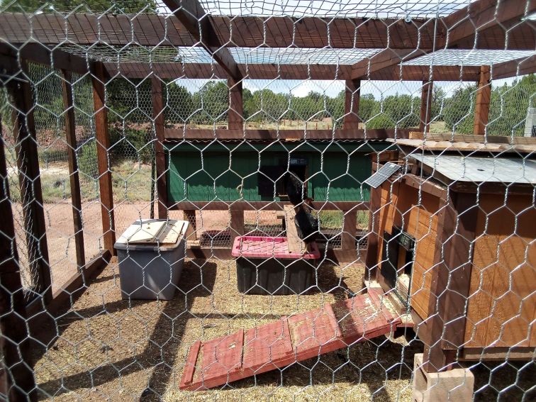 New chicken compound.